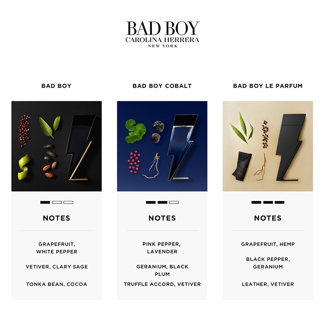 Bad Boy Cobalt EDP